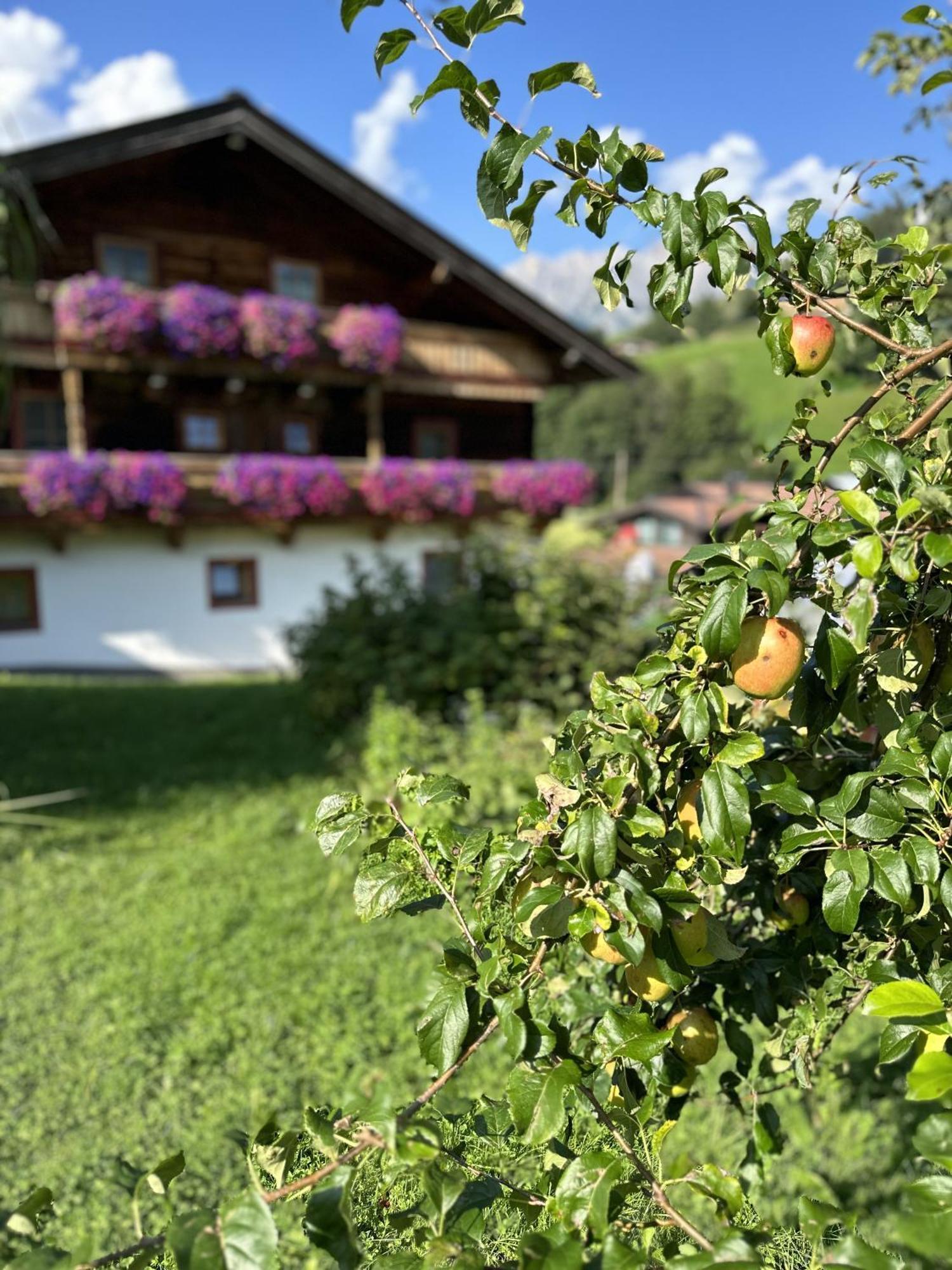 Ferienwohnung Steinernes Meer Maria Alm am Steinernen Meer Exteriér fotografie