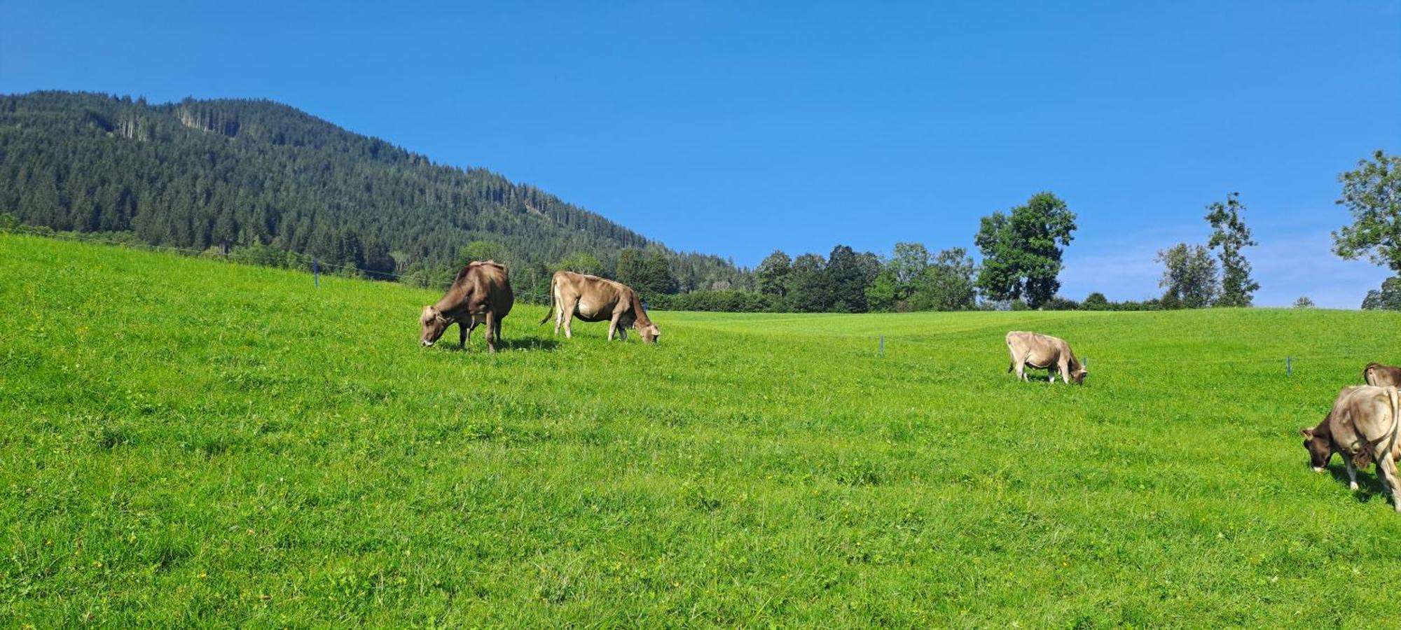 Ferienwohnung Steinernes Meer Maria Alm am Steinernen Meer Exteriér fotografie